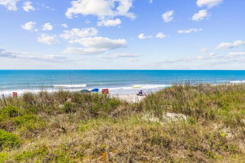 The Beach Is Back photo 33