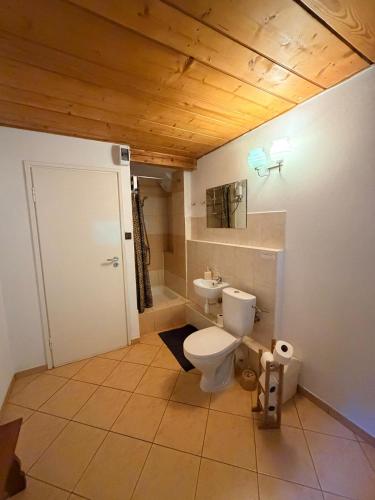 a bathroom with a toilet and a sink at Siedlisko u Jana in Korbielów