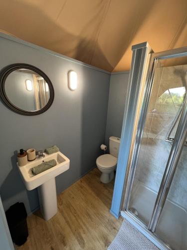 a bathroom with a toilet and a sink and a mirror at Cherry Tree Dome in Smeeth