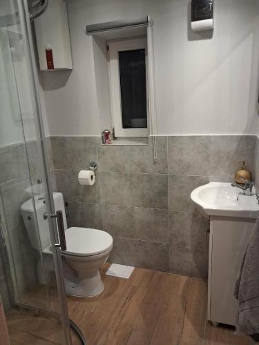 a bathroom with a toilet and a sink at Noclegi Radoch Mazury in Ruciane-Nida