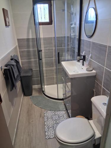a bathroom with a shower and a toilet and a sink at Gîte chez Kus in Changey