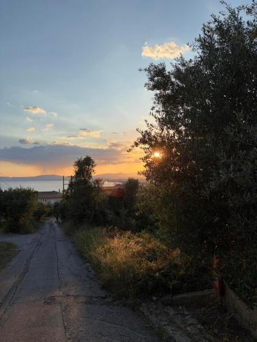 an empty road with the sunset in the background at Verga Olive Grove Studio in Kalamata