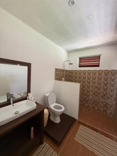 a bathroom with a sink and a toilet and a mirror at Heiva - Fare Orotia in Tiano