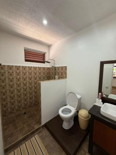 a bathroom with a toilet and a sink at Hiro'a - Fare Orotia in Taputapuapea