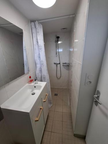 a white bathroom with a shower and a sink at La Champêtre in Beaumesnil