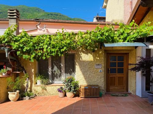 a house with a bunch of plants in front of it at La casina di mezzo - Tiny House in Camaiore