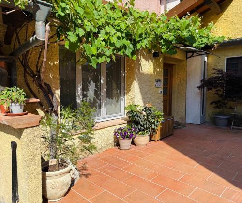 a patio with potted plants on the side of a building at La casina di mezzo - Tiny House in Camaiore