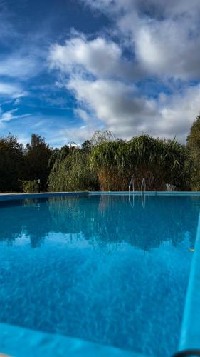 a pool of blue water with trees in the background at Namioty w lesie in Ściegny