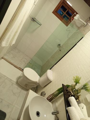 a bathroom with a toilet and a shower and a sink at Suíte aconchego in Domingos Martins