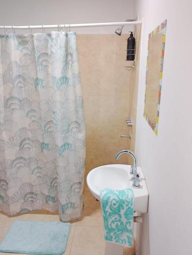 a bathroom with a sink and a shower curtain at Nido del Sol in Pocito