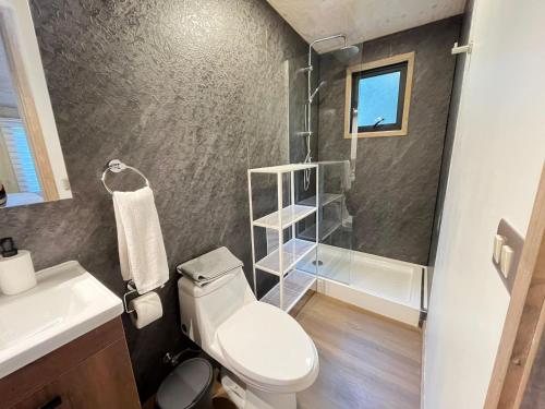 a bathroom with a toilet and a sink and a shower at Ketrawe Lodge in Pucón
