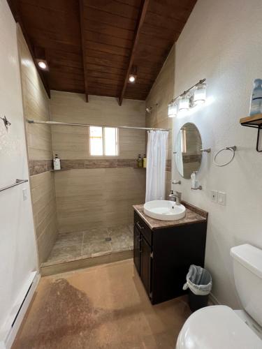 a bathroom with a shower and a sink and a toilet at Casa Xantus in Toros Pintos