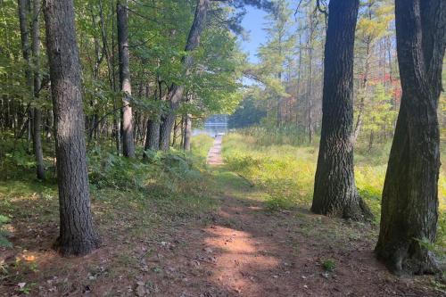 a dirt trail through a forest with trees at Northwoods Resort in Woodruff