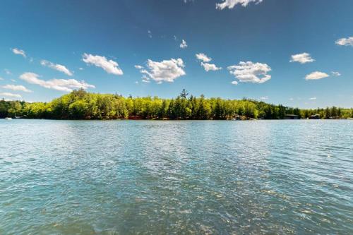 a large body of water with trees in the background at Turtle Bay in Minocqua