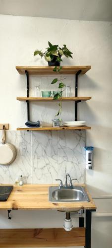 a kitchen with a sink and wooden shelves at Loft #1 a una cuadra de Playa Regatas Oyster Suites in Veracruz