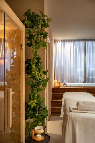 Palazzo Balsamo Boutique Hotel photo 50