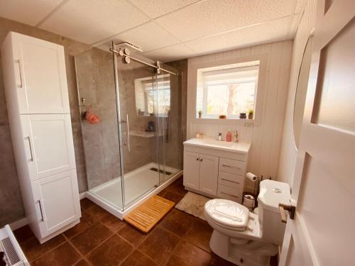 a bathroom with a shower and a toilet and a sink at 5 bedroom Waterfront house in Tracadie