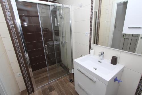 Apartments with WiFi Rovinj - 25949