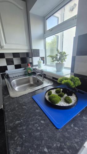 a kitchen counter with a sink and a plate of moss at Easy Stay Jerviston in Mossend