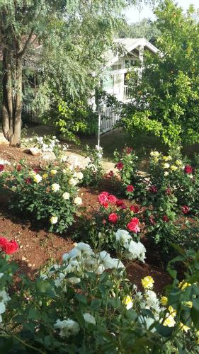 a garden of flowers in front of a house at Betzel Ha'Ella in Kahal