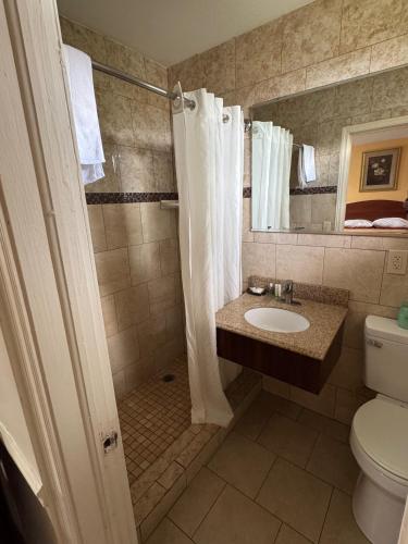 a bathroom with a shower and a toilet and a sink at Snowbird Motel in Bristol