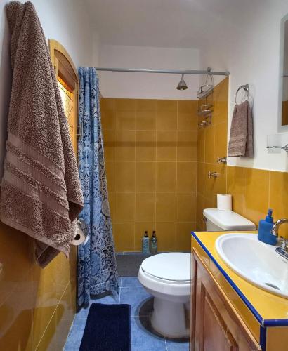 a bathroom with a toilet and a sink at Loft Juárez in Amecameca de Juárez