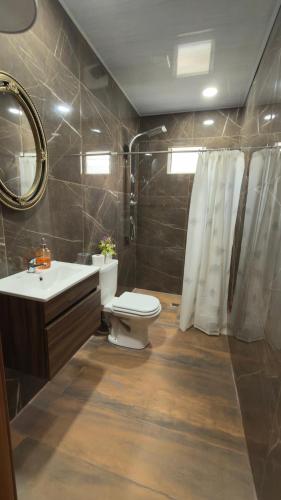 a bathroom with a toilet and a sink and a mirror at APART LyM 2 in Clorinda