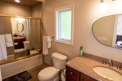 a bathroom with a toilet and a sink and a mirror at Modernist Lakefront Sojourn in Monticello