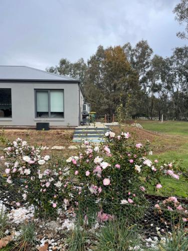 a house with flowers in front of a yard at Guinevere2 in Myrtleford