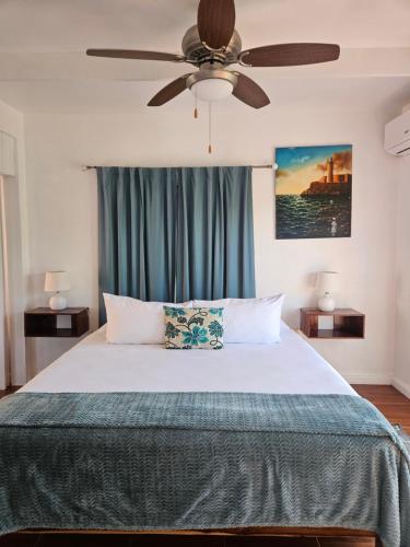 a bedroom with a bed with a ceiling fan at Tim Pappies Nature Lodge - Alex's Place in Port Antonio