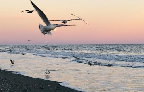 Oceanfront Paradise Sleeps 10 w Stunning Sunrises photo 128
