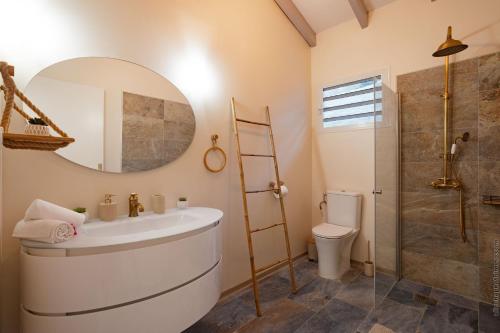 a bathroom with a sink and a shower and a mirror at La Villa de Solange - Canope in La Trinité