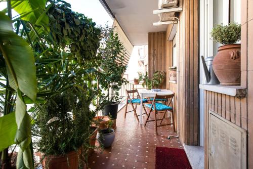Domus Vintage