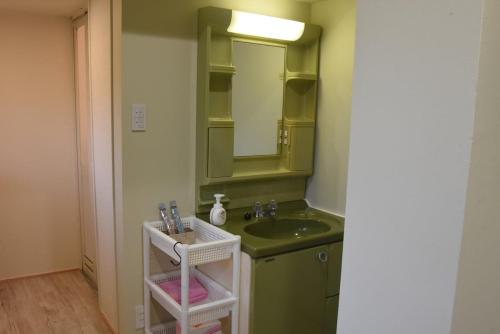 a bathroom with a green sink and a mirror at 大宇陀souw創 in Uda