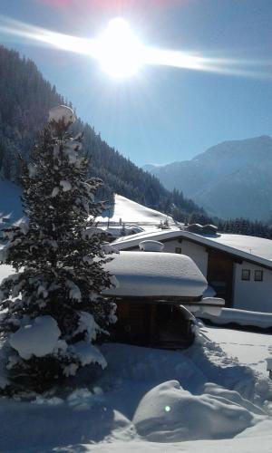 a snow covered christmas tree in front of a house at Gästehaus Bergland in Berwang