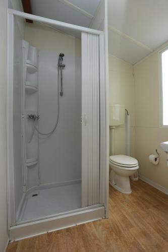 y baño con ducha y aseo. en Mobile Homes Comfort CAPRI Bijela Uvala, en Poreč