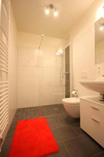 a bathroom with a red rug and a toilet and a sink at Dresden grüßt seine Gäste in Dresden
