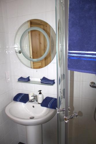 une salle de bain avec un lavabo et un miroir dans l'établissement Les Chalets Fleurs de France - KOTA, à Saint-Dalmas