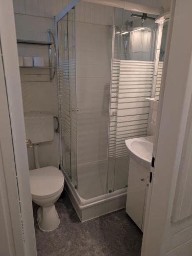 a bathroom with a toilet and a glass shower at Ferienhaus LouJa in Butjadingen