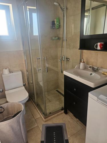 a bathroom with a shower and a toilet and a sink at VanjAna in Đenovići
