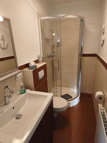 a bathroom with a shower and a toilet and a sink at Ferienwohnung Strandparadies 7 in Juliusruh