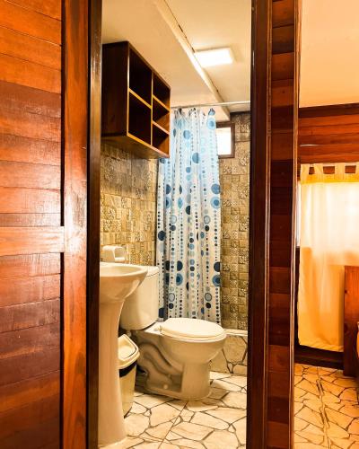 a bathroom with a toilet and a shower at Casa Lobos in Lobitos