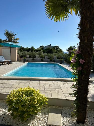 a swimming pool with a palm tree next to a resort at Holiday House Serenity in Malinska
