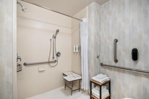 a bathroom with a shower and a toilet at Hampton Inn Uvalde in Uvalde