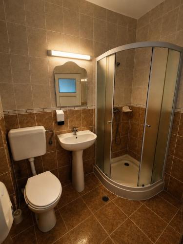 a bathroom with a toilet and a shower and a sink at Hotel Doina 1 Tășnad in Tăşnad