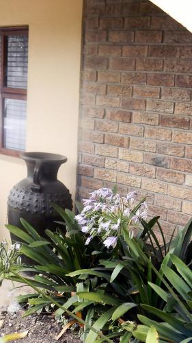 a large black vase sitting next to some plants at Zamar Guest House in Caledon