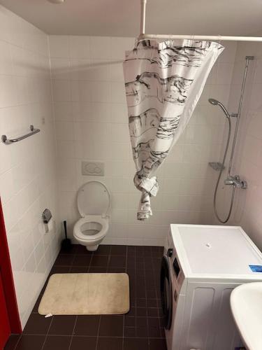a bathroom with a shower and a toilet and a shower curtain at A cozy room with double bed in semi shared Flat in Wallisellen