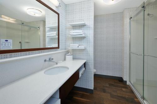 a bathroom with a sink and a mirror and a shower at Hampton Inn by Hilton West Bloomfield Novi in Farmington Hills