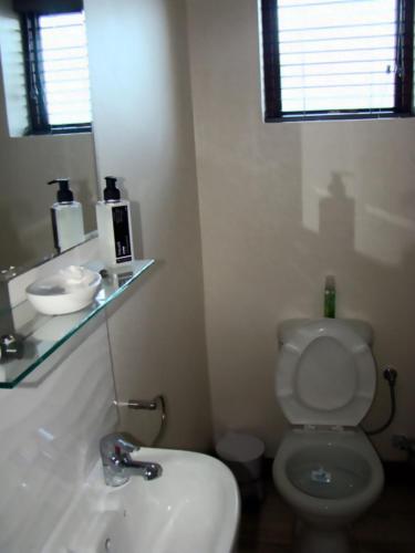a bathroom with a toilet and a sink and a mirror at Zamar Guest House in Caledon