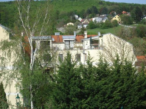 a large white house on a hill with trees at Ferienwohnung Madlene 2 in Gablitz